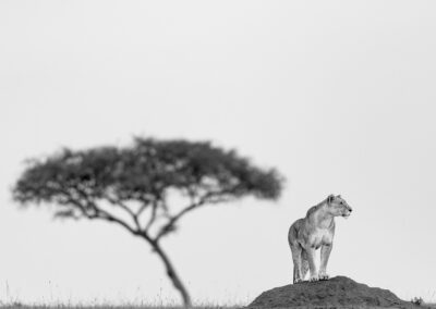 fotoreis Kenia