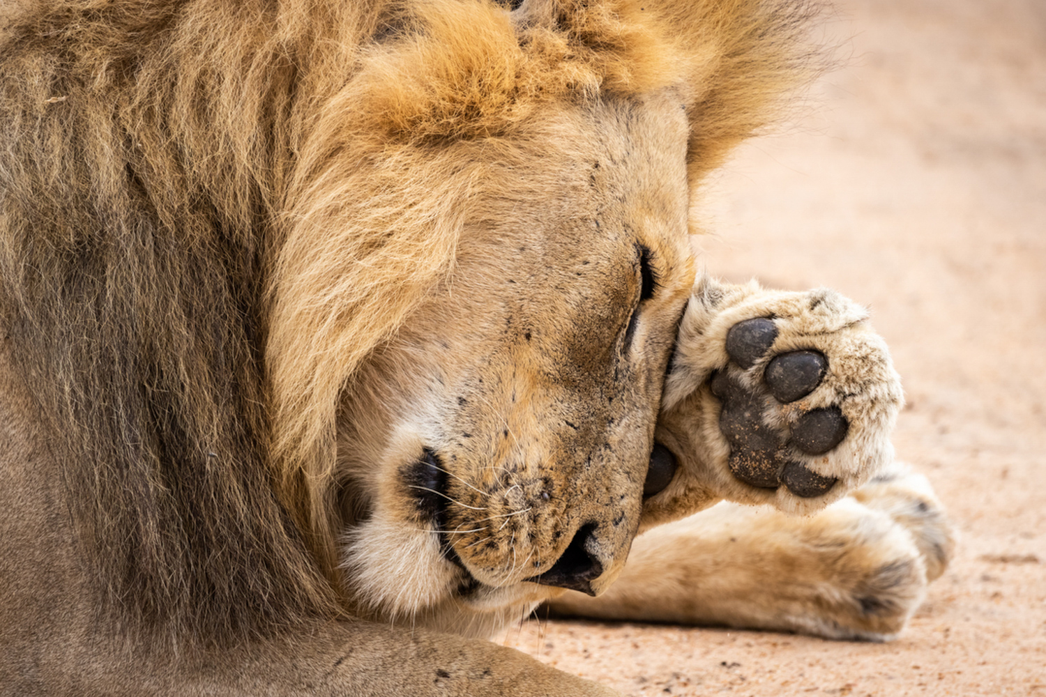 Kalahari conservancy