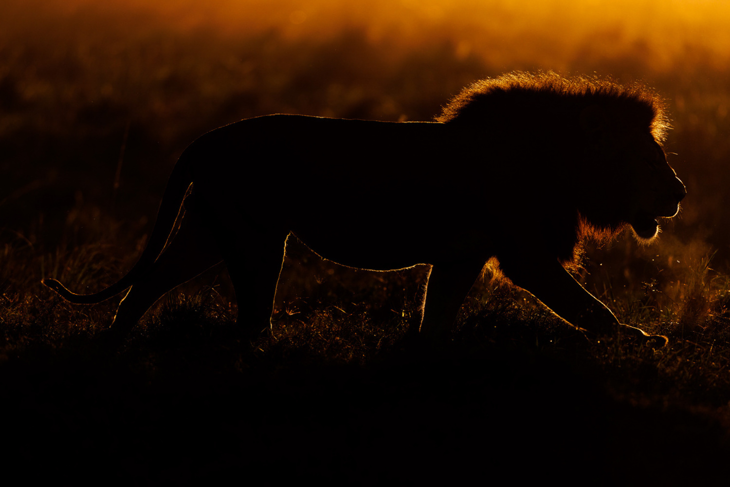 Kalahari conservancy