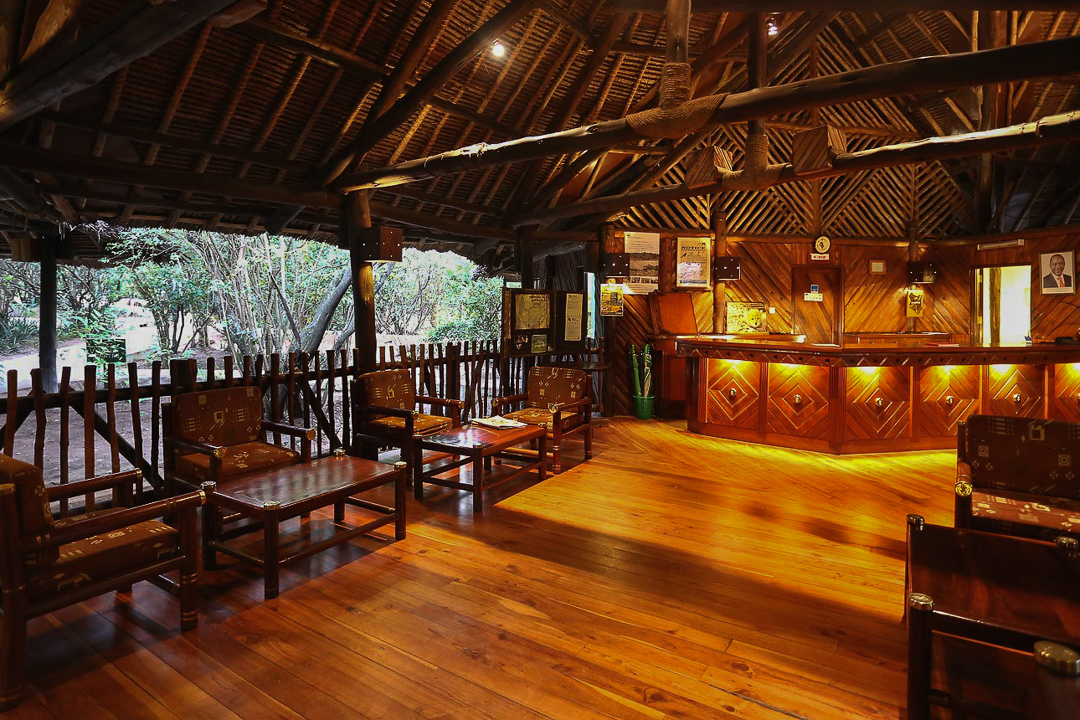 Simba Lodge