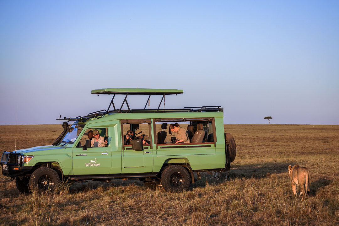 safari vehicle