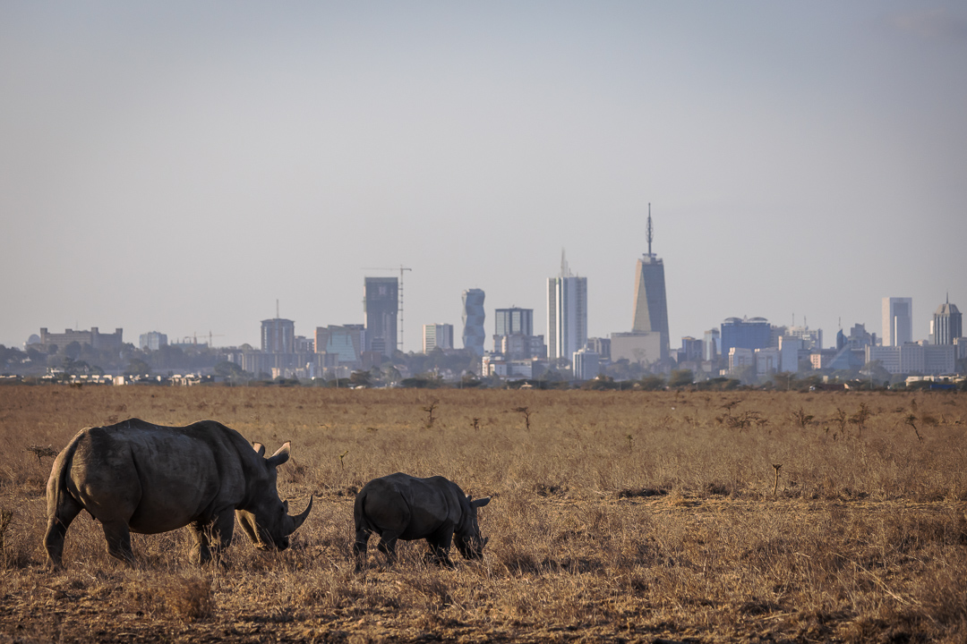 Nairobi National Park