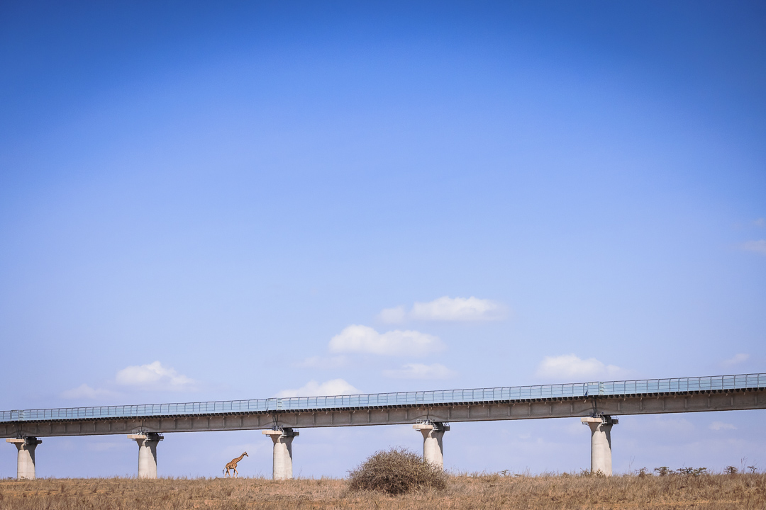 Nairobi National Park